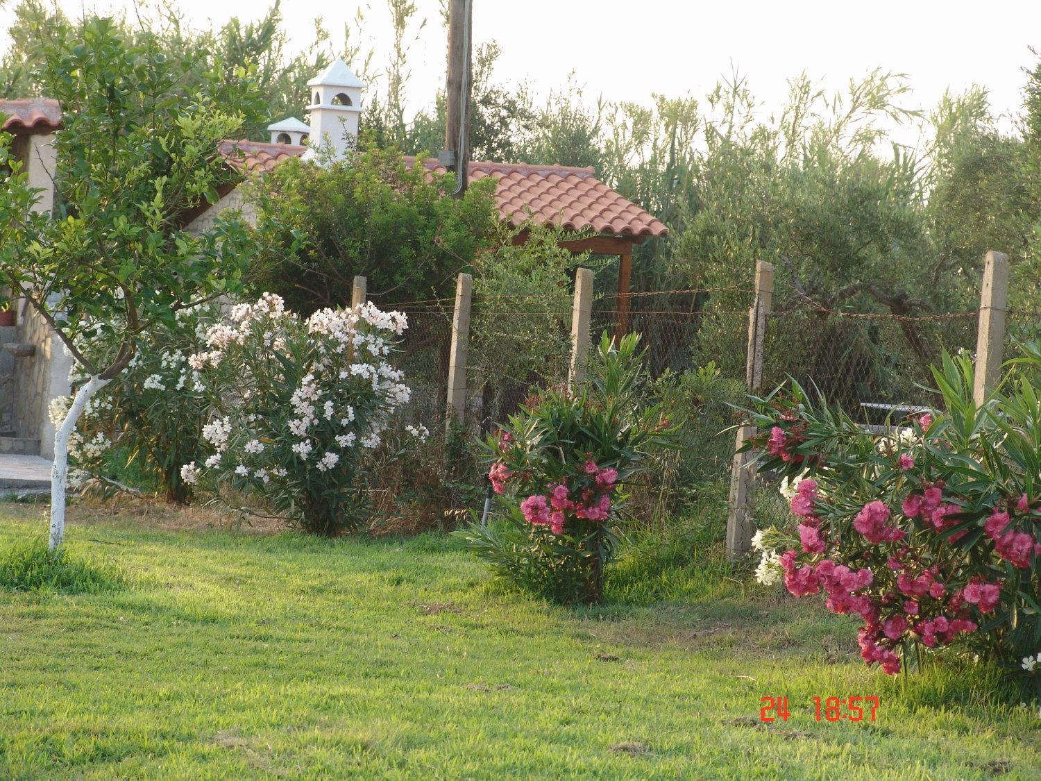 Terpsichore Apartments Kyparissia Extérieur photo